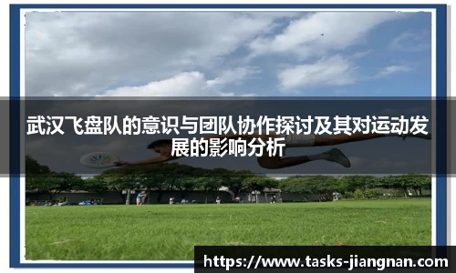 武汉飞盘队的意识与团队协作探讨及其对运动发展的影响分析